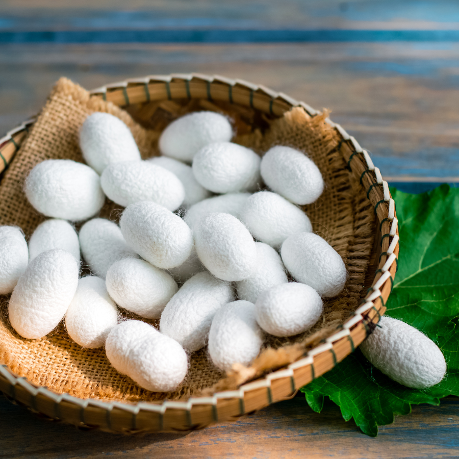Les origines de la soie de mûrier